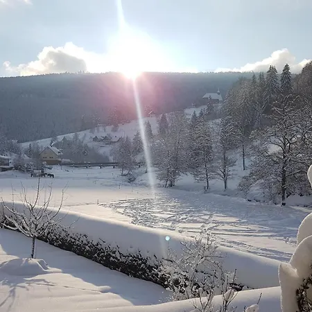 Haus Wiesengrund * פורבאך