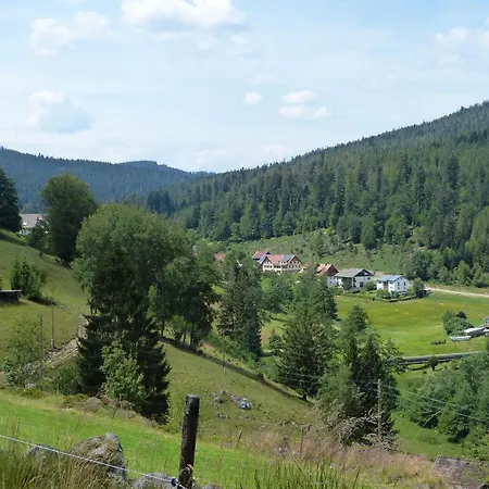 Apartamento Haus Wiesengrund