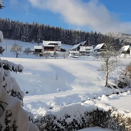 Daire Haus Wiesengrund *